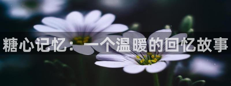 糖心vlog失败惩罚:糖心记忆:一个温暖