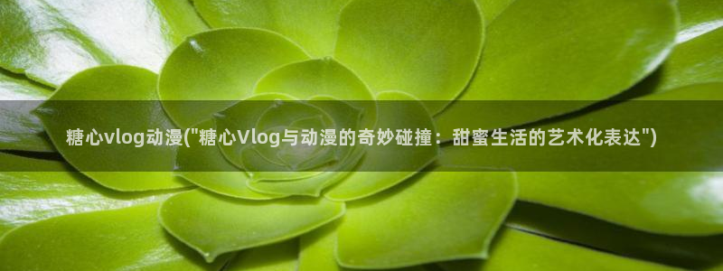糖心VLOG网头像:糖心vlog动漫(\