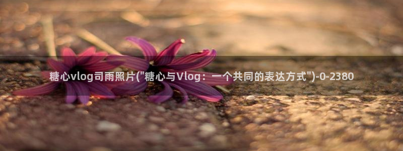 糖心vlog瑶妹:糖心vlog司雨照片(