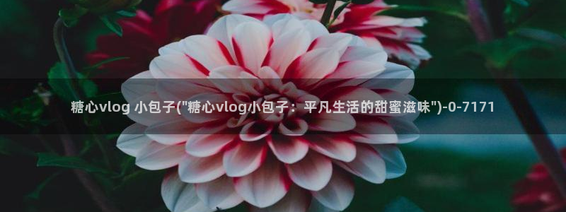 糖心vlog福利:糖心vlog 小包子(