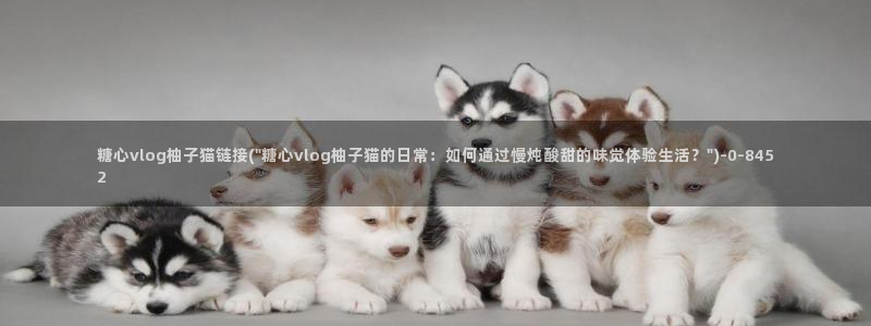 糖心vlog番号封面:糖心vlog柚子猫