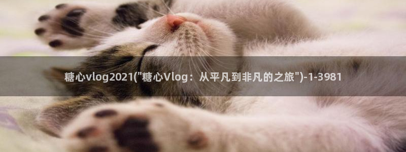 国产糖心vlog免费:糖心vlog202